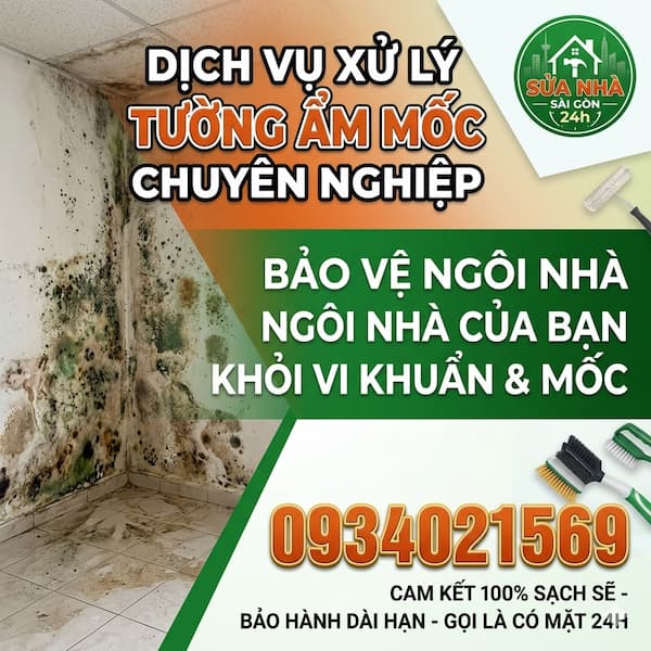 Dịch vụ xử lý tường nhà bị ẩm mốc tại TPHCM